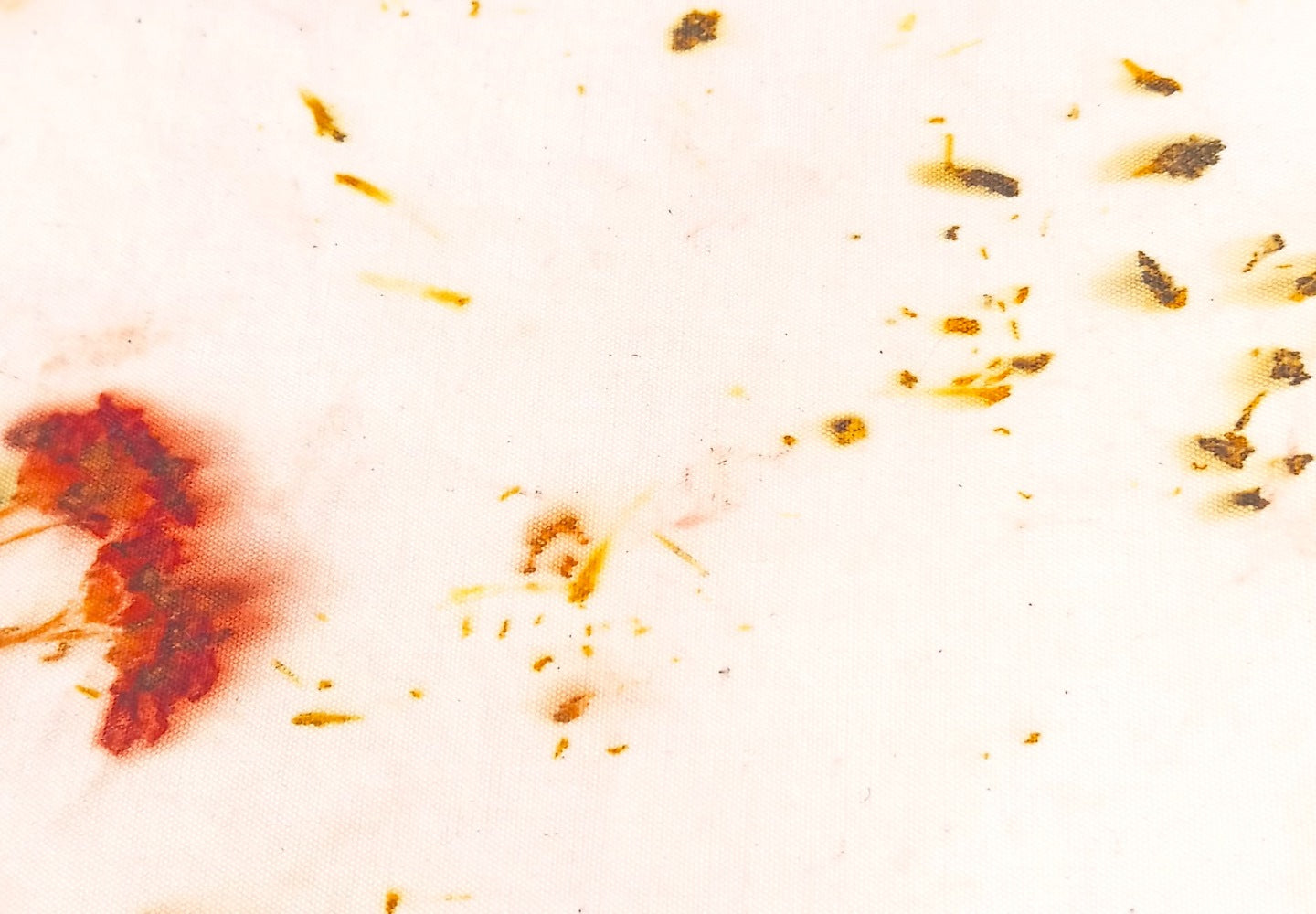 SAMANTHA - Algodón estampado