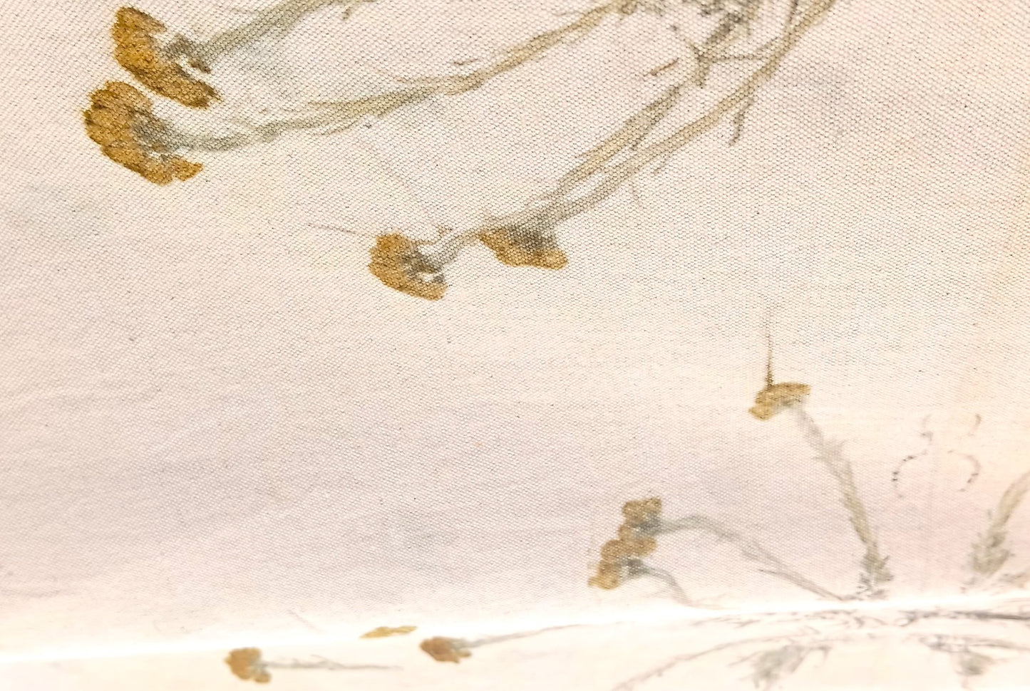 SALLY - Algodón estampado