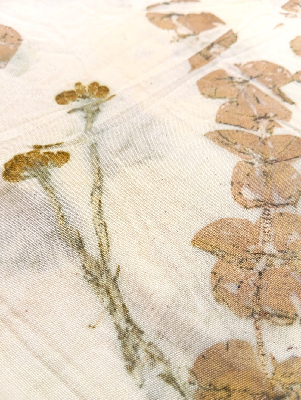 PHOEBE - Algodón estampado