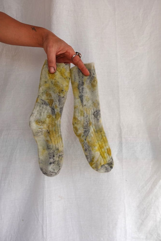 LANA MERINO -Lafayette