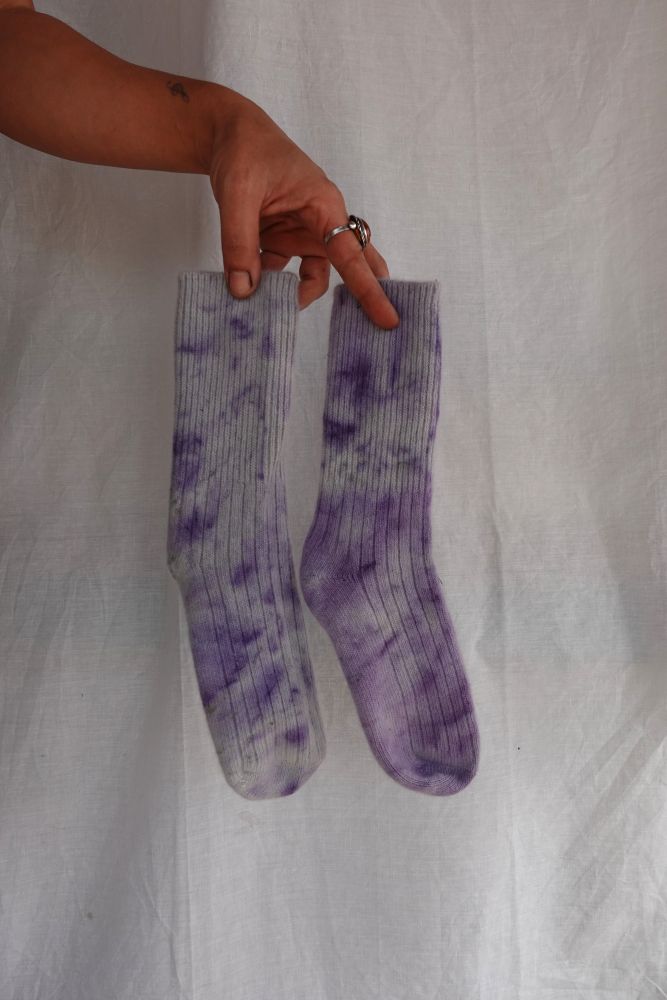 LANA MERINO - Spellman