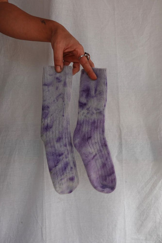 LANA MERINO - Spellman