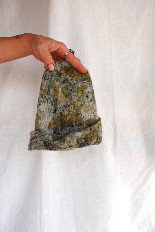 LANA MERINO - Lafayette