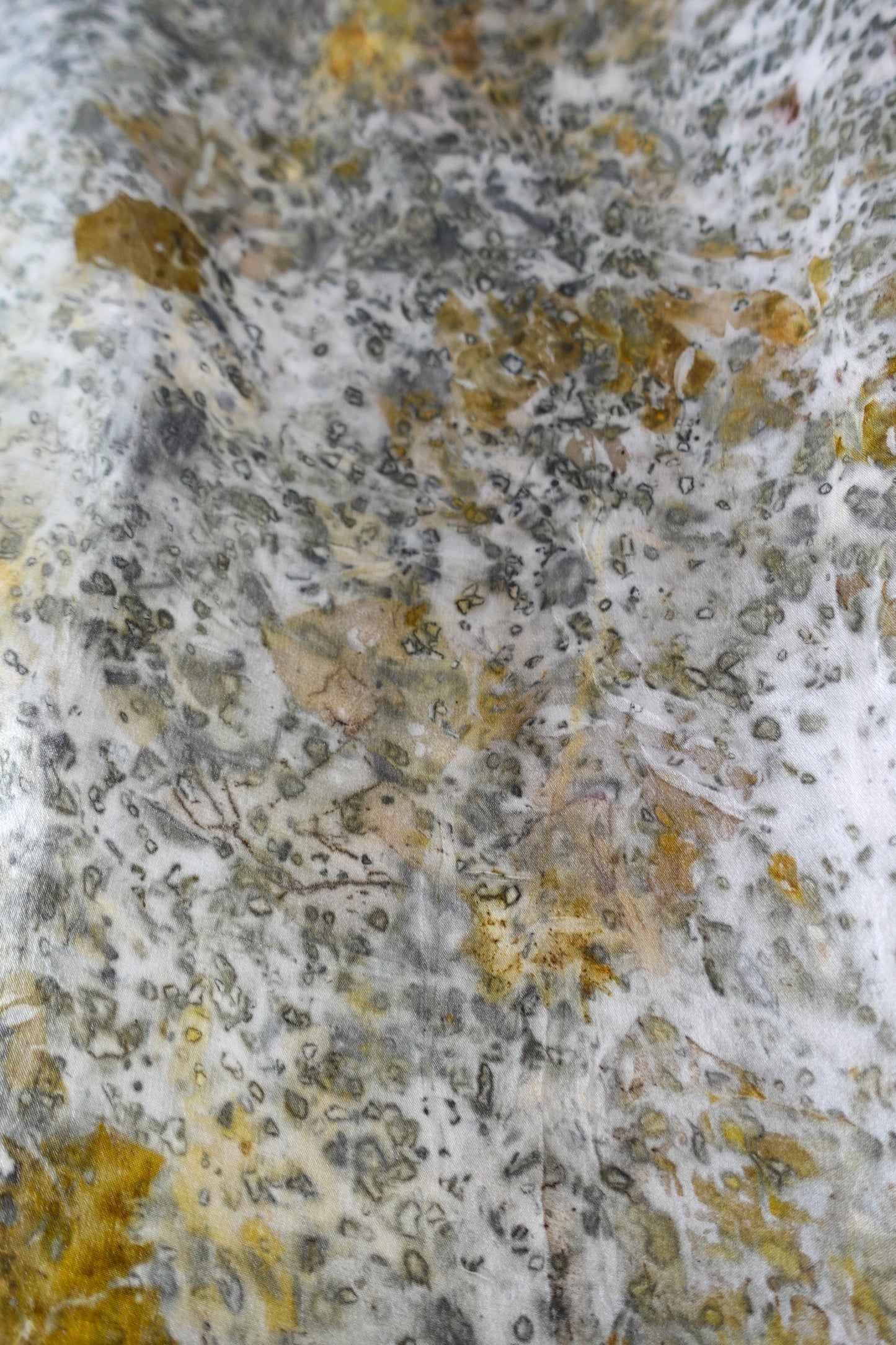 LAFAYETTE - Seda 100%