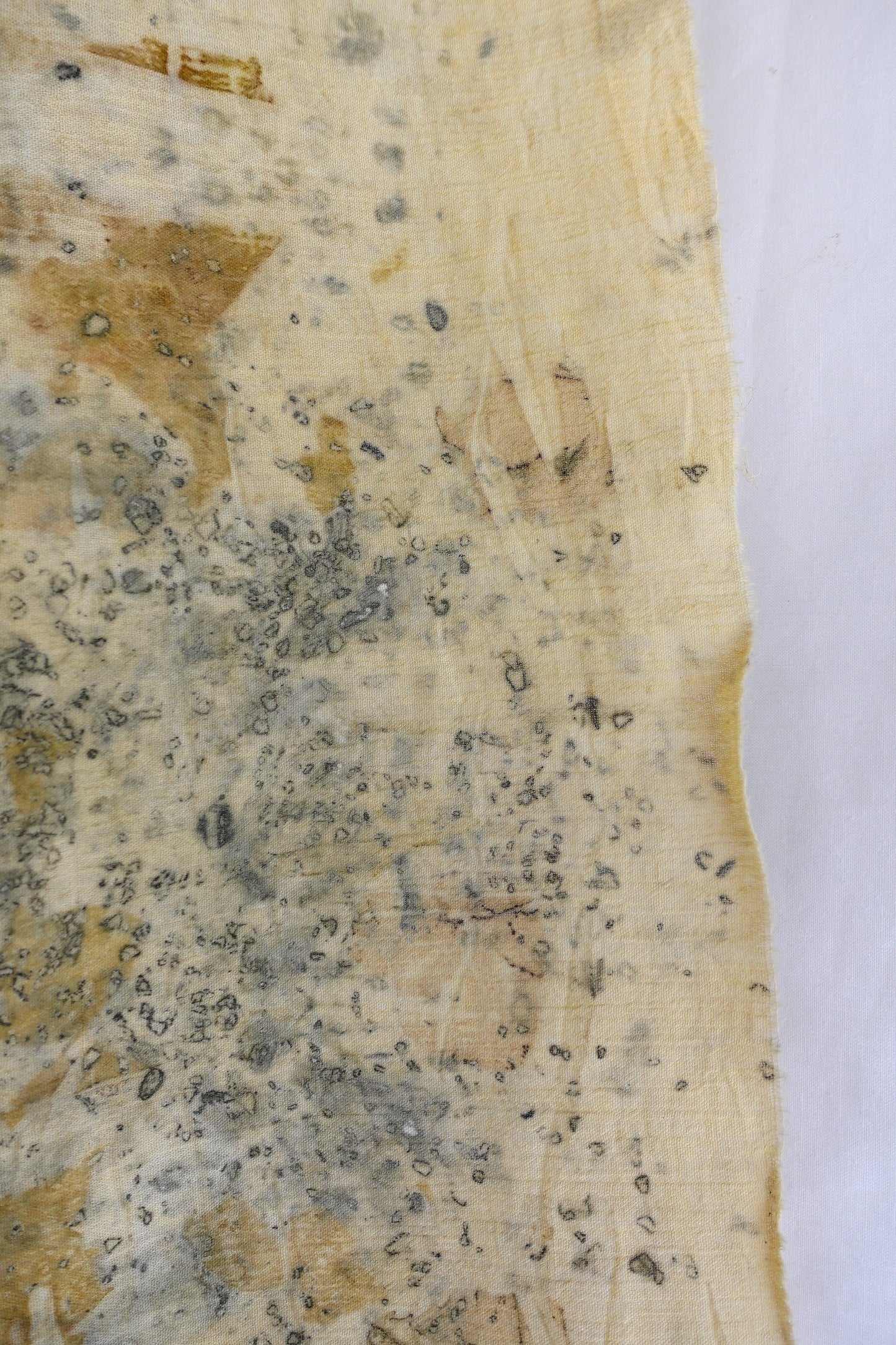 BENET - Algodón estampado