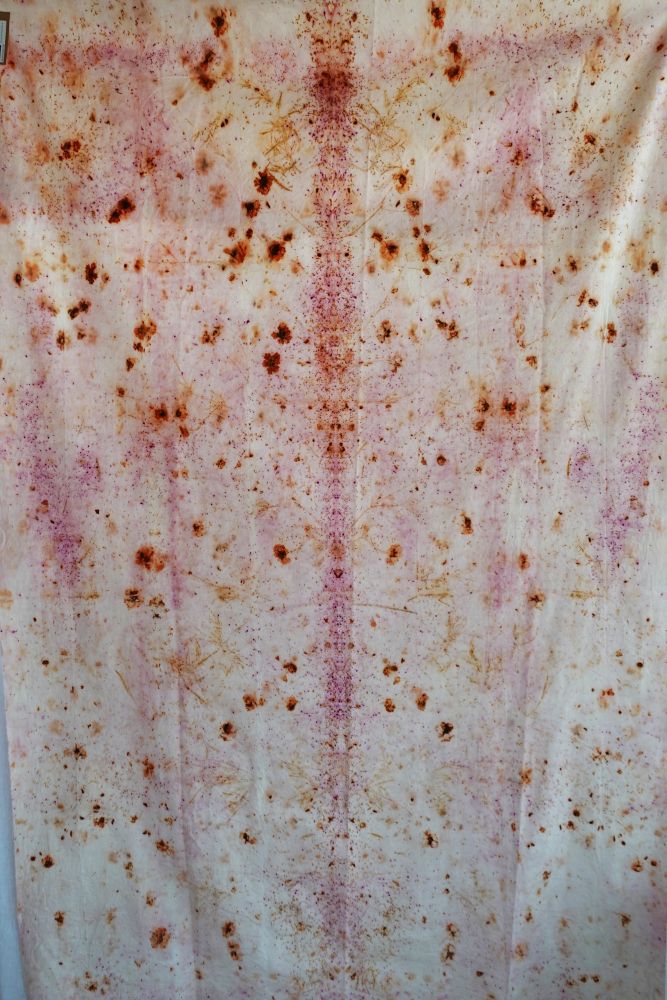 SAMANTHA algodón orgánico