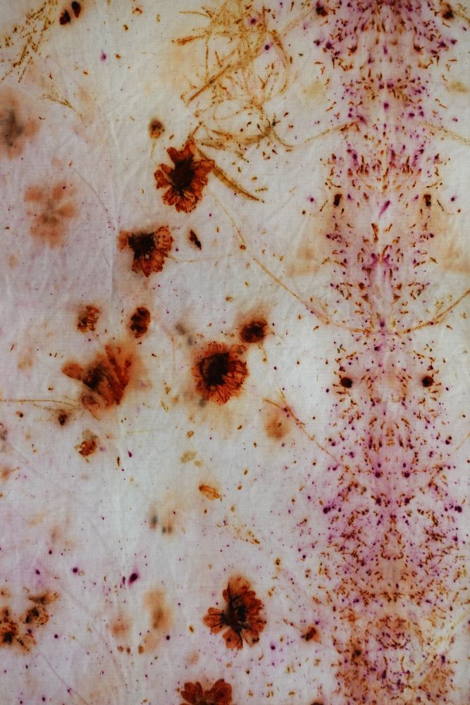 SAMANTHA algodón orgánico