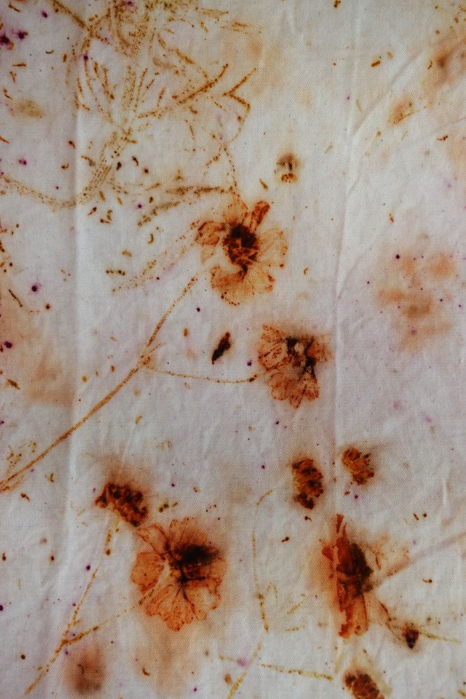 SAMANTHA algodón orgánico